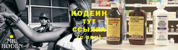 гашик Каменка