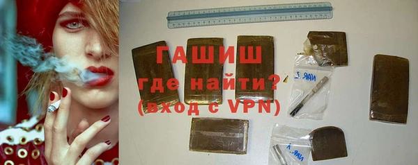 гашик Каменка