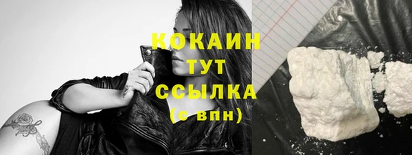 гашик Каменка