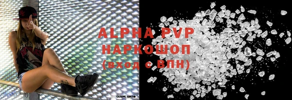 гашик Каменка