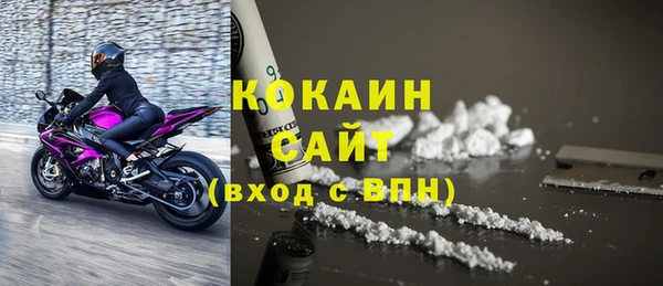 гашик Каменка