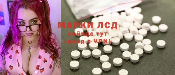 гашик Каменка