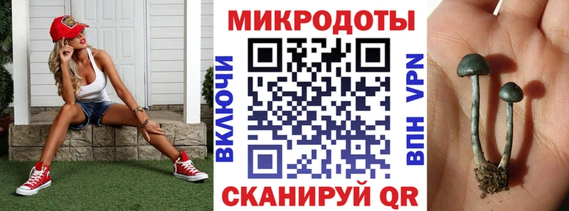 Купить закладки  Озёры  Псилоцибиновые грибы Psilocybine cubensis 